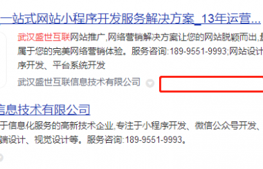 【武漢SEO優(yōu)化】百度快照功能還會(huì)再上線嗎